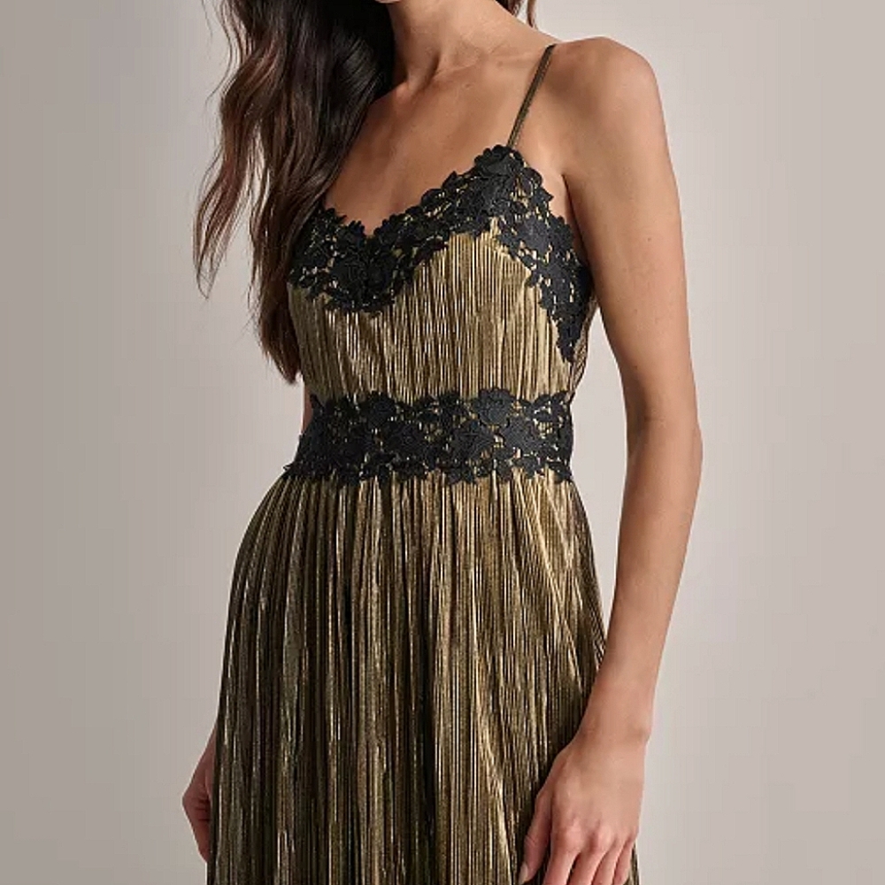 DKNY Women's‎ Pleated Metallic Lace-Trim Sleeveless Gown Sz 2